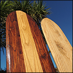 alaia traditionnel 1200x1500 pour bas de page bretagne bois paulownia finistère 150x150